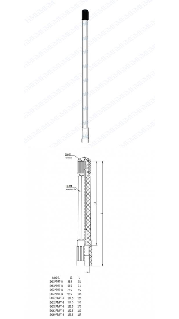 EX53PT.jpg EX53PT.jpg