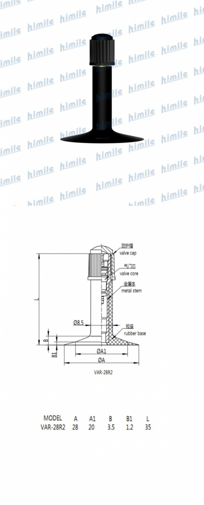 VAR-28 R2.jpg