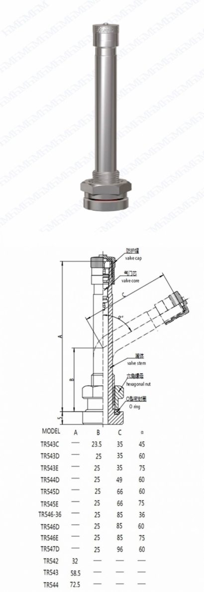 TR545D-1.jpg