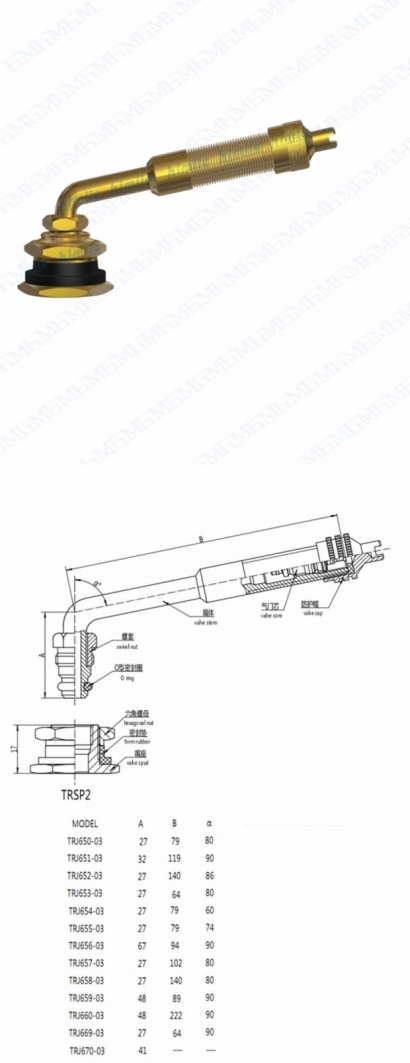 TRJ650-03.jpg