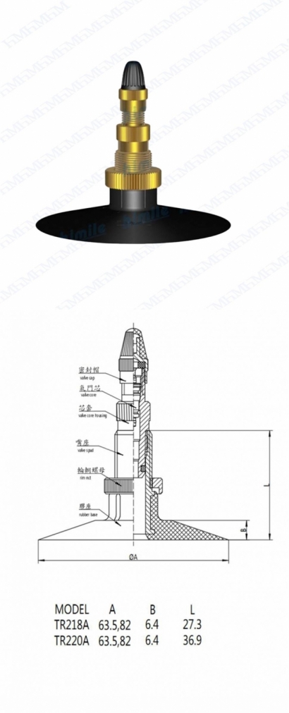 TR218A.jpg